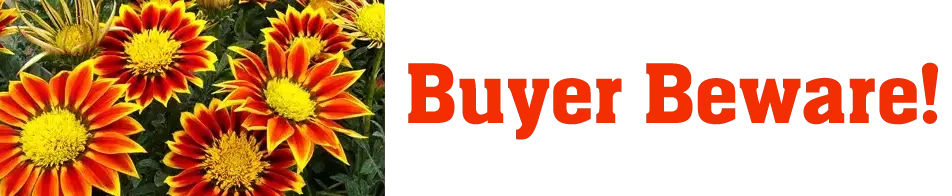 Buyer Beware of Canadian Tree Nursery